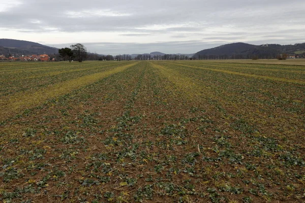 Campo Rural Tierra Cultivo — Foto de stock © PantherMediaSeller #333346268
