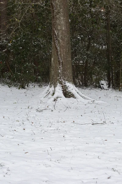 Έδαφος Καλυμμένος Χιόνι Κατά Χειμερινή Περίοδο — Φωτογραφία Αρχείου