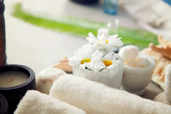Spa Wellness Świeże Ręczniki Zabiegu Spa Naturalnym Otoczeniu Produkty Kosmetyczne — Zdjęcie stockowe