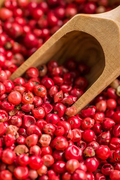 Sušená Růžová Paprika Dřevěná Lžička — Stock fotografie