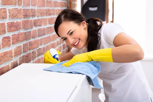 Muebles Jóvenes Sonrientes Limpieza Mujer Con Botella Del Aerosol País — Foto de Stock