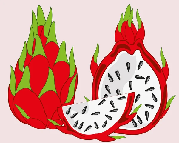 Vektorillustration Den Exotiska Frukten Pitaya Vit Bakgrund — Stockfoto