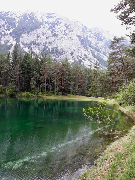 Schöne Aussicht Auf Die Natur — Stockfoto