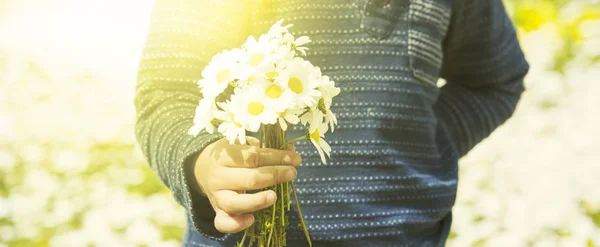 Słodkie Małe Dziecko Trzyma Bukiet Stokrotka Kwiat Słoneczny Wiosenny Kwiat — Zdjęcie stockowe