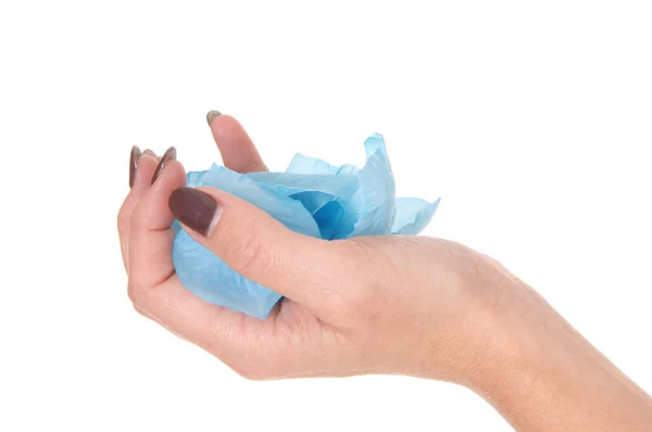 洗練された指の爪を持つ女性から手のクローズアップ画像 白い背景のために隔離されたいくつかの青いバラの花びらを保持 — ストック写真