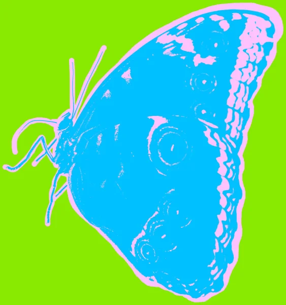 Butterfly Picture Green Background Pop Art Style — Stock Photo, Image