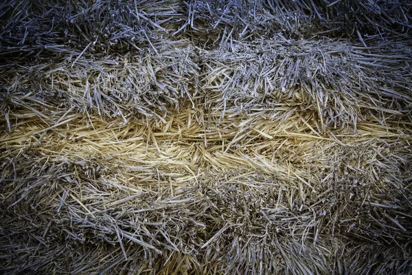 干草包 动物饲料细部 — 图库照片