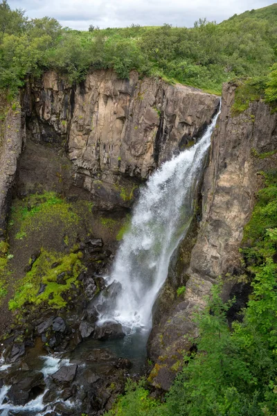 Svartifoss Cascadas Cascada Balck Parque Nacional Vatnajokull Islandia — Foto de Stock