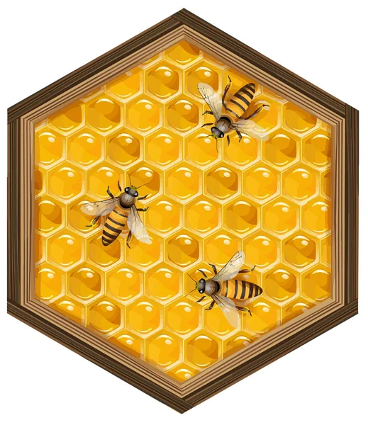 Méhkaptár Méhsejt Méh Élelmiszer Méz Természetes Illusztráció — Stock Fotó