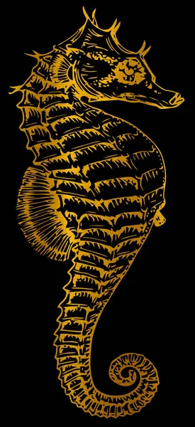 シーホース マリン ゴールデン ミートル オーシャン ワイルドエキゾチックなイラスト — ストック写真