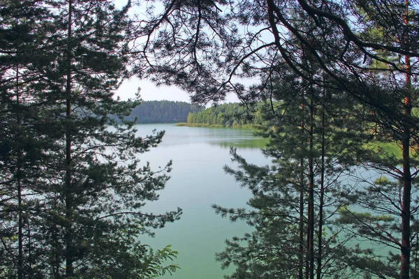 Schöner Waldsee Mit Smaragdgrünem Wasser Kiefernwald Wunderbare Natürliche Aussicht Wasserpanorama — Stockfoto