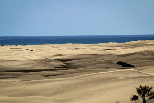 Піщані Дюни Пустелі — стокове фото