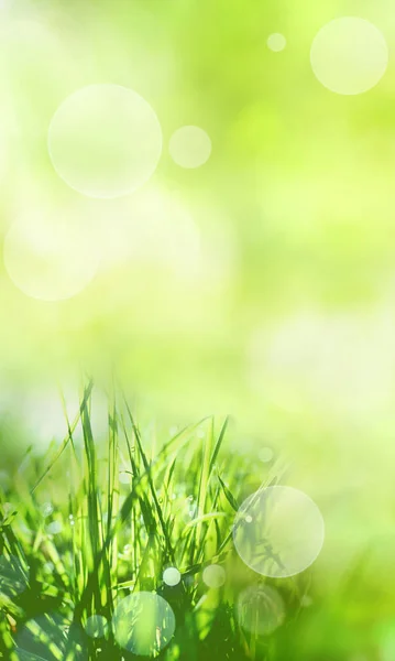 Slunečné Zelené Jarní Pozadí Trávou Jasným Bokeh — Stock fotografie