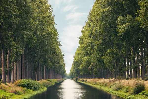 Damme Canal Obklopen Stromy Létě Belgické Provincii Západní Flandry Blízkosti — Stock fotografie