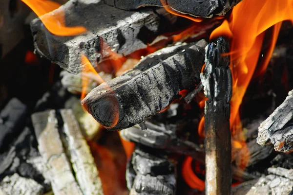 Brandhout Vlam Vuur Verbrandt Camping Vreugdevuur Selectieve Aandacht — Stockfoto