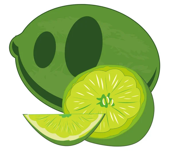 Ilustração Vetorial Limão Fruta Sul — Fotografia de Stock