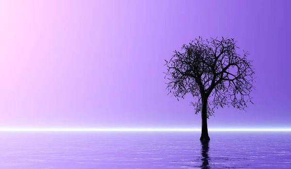 Silhouette Dell Albero Sull Acqua — Foto Stock