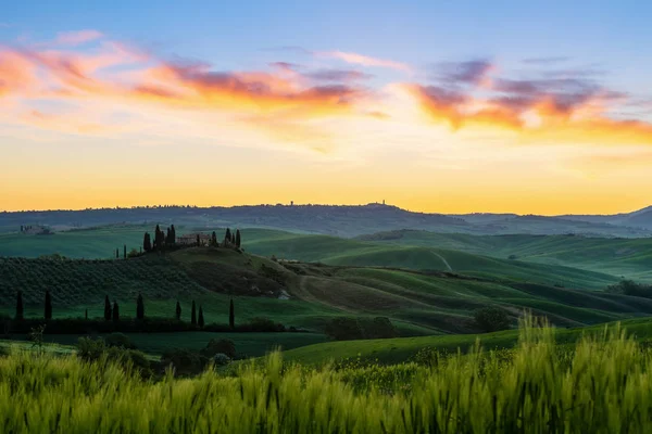 Toscane Landschap Zonsopgang Glooiende Groene Heuvels Velden Italië — Stockfoto
