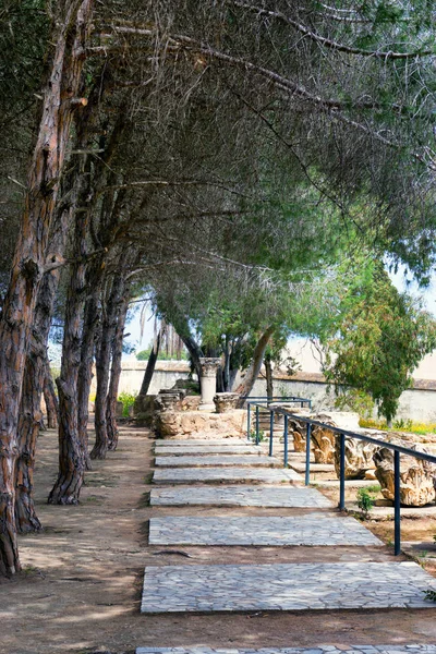 Uitzicht Een Tuin Passage Ruïnes Van Carthago Tunesië — Stockfoto