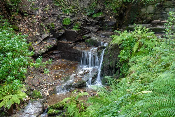 Bella Cascata Sullo Sfondo Della Natura — Foto Stock