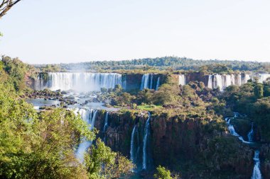 Landscape from Iguazu Falls National Park, Argentina. World heritage site. South America Adventure travel clipart