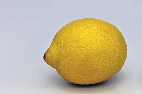 Лимонные Фрукты Citrus Limon — стоковое фото
