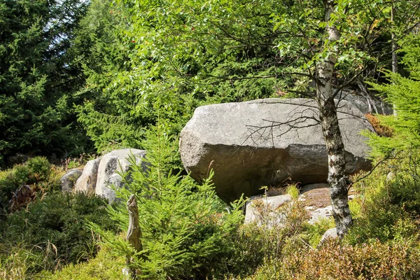 Est Paysage Dans Harz Avec Des Rochers Des Arbres — Photo