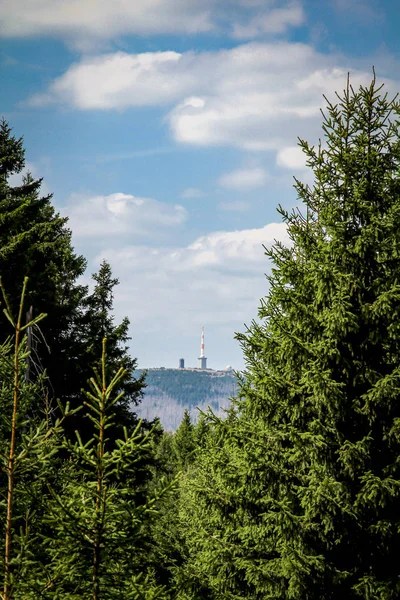 Das Ist Eine Landschaft Harz Mit Felsen Und Bäumen — Stockfoto