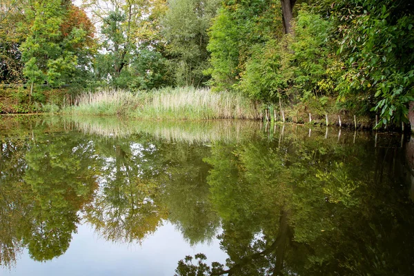 이것은 연못으로 경치입니다 — 스톡 사진