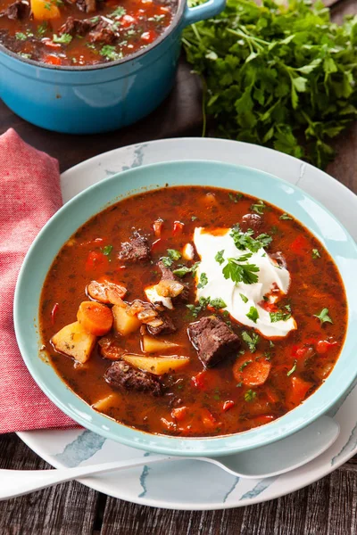 Guisado Carne Caseira Saudável Com Salsa Fresca — Fotografia de Stock