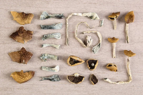 Dried Magic Mushrooms Knolling Flat Lay Background Entheogen Alternative Medicine — Stock Photo, Image