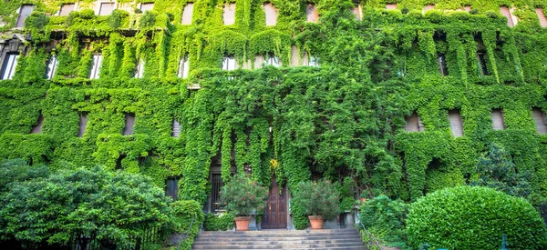 Integrazione Natura Beni Immobili Questo Antico Edificio Italiano — Foto Stock