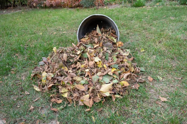 Mucchio Foglie Spazzato Insieme Con Rastrello Prato Giardino Foglie Vanno — Foto Stock