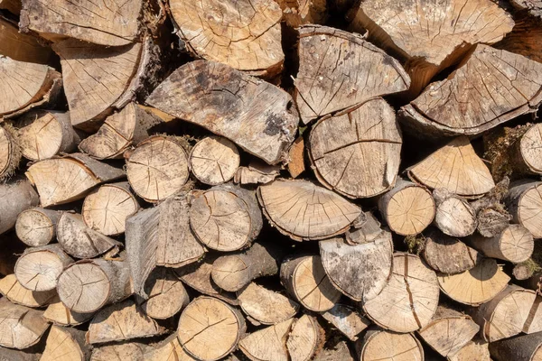 Stacked Firewood Drying — Stock Photo, Image
