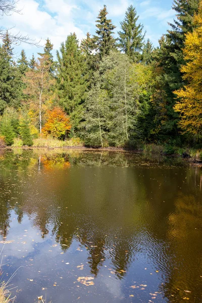 Ein Kleiner See Wald Herbst — Stockfoto