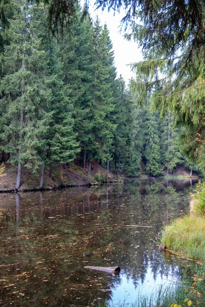 Маленькое Озеро Лесу Осенью — стоковое фото