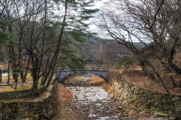 근처의 사원에 — 스톡 사진