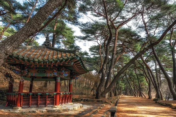 小韓国塔のパビリオンと松の木フォレスト グローブ Mupunghansong で韓国通度寺境内の入り口近くの道路のギル 午前中に撮影 — ストック写真