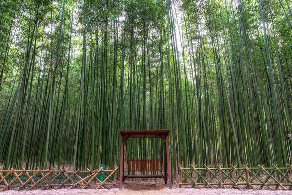 Banco Bosque Bambú Simnidaebat Famoso Bosque Bambú Ulsan Taehwagang River —  Fotos de Stock