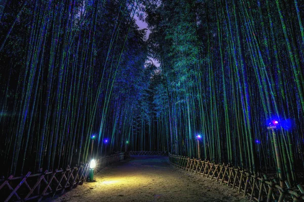 Simnidaebat 竹森畑で蔚山 韓国の Eunhasu や銀河の道 竹の森は人工光に照らされた夜ライトアップします — ストック写真