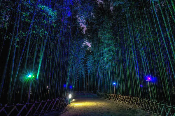 Simnidaebat 竹森畑で蔚山 韓国の Eunhasu や銀河の道 竹の森は人工光に照らされた夜ライトアップします — ストック写真