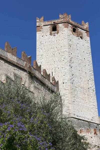Století Středověký Kamenný Hrad Scaliger Castello Scaligero Jezeře Garda Provincie — Stock fotografie