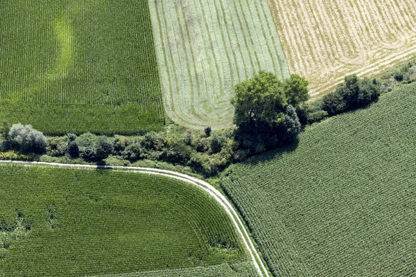 トウモロコシ畑を走る未舗装の線路の空中写真 — ストック写真
