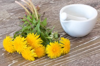 bunch of hawkbit with mortar and pestle. clipart