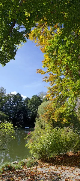 Árboles Colores Autumnales Junto Estanque Una Zona Parque Baden Cerca —  Fotos de Stock