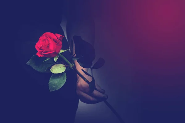 Mujer Con Una Rosa Roja Mano Cerca Romántico Concepto San —  Fotos de Stock