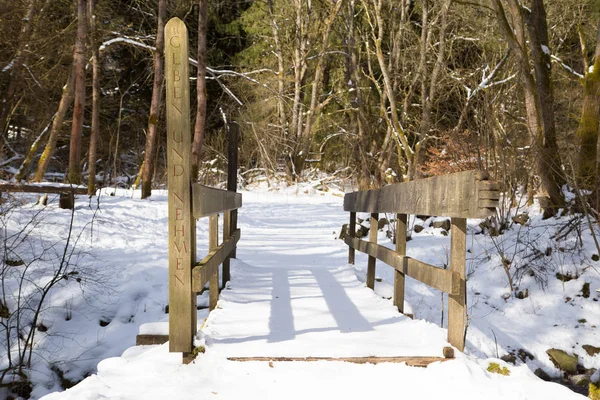 Pont Couvert Neige Hiver Dans Forêt — Photo