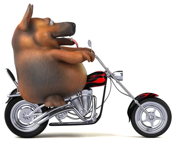 Tysk Herdehund Illustration — Stockfoto