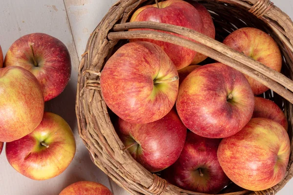 Köstliche Rote Und Gelbe Bio Äpfel Aus Der Normandie — Stockfoto