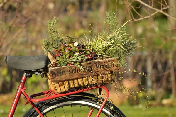 상자가 와인은 행복을 비문이 자전거 — 스톡 사진